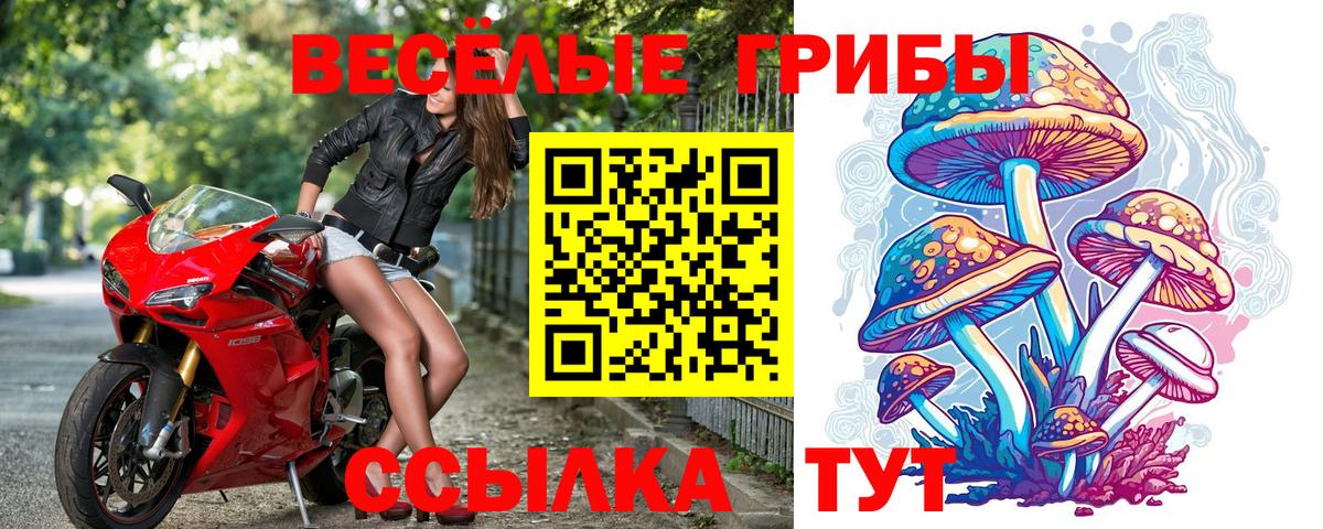Галлюциногенные грибы Magic Shrooms Саяногорск