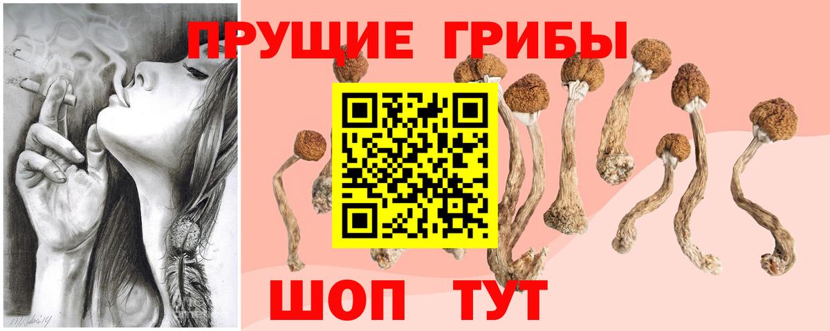 закладка  Псилоцибиновые грибы мухоморы  Псилоцибиновые грибы ЛСД  Вход с VPN  Саяногорск 